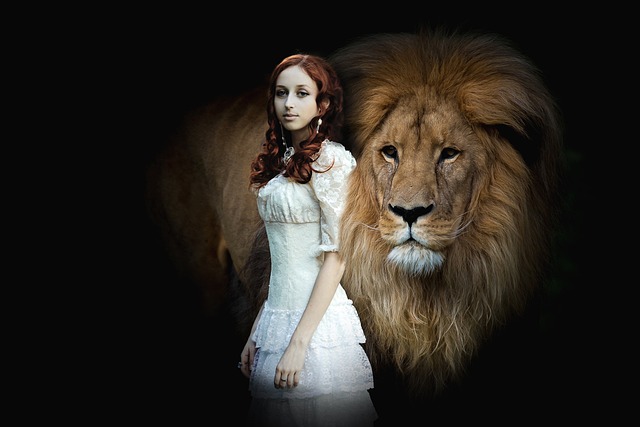 Lion's Mane and Nootropics for Menopausal Cognitive Support