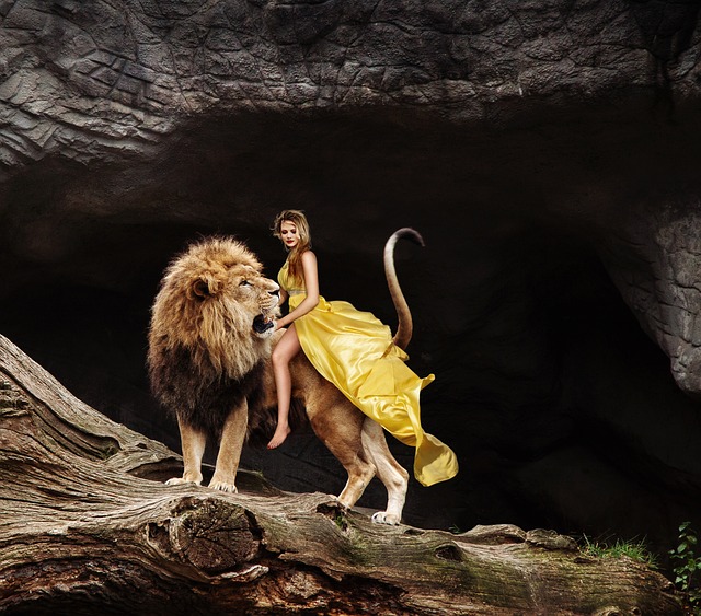 Lion’s Mane and Nootropics for Menopausal Cognitive Support