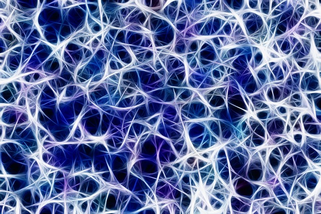 Nervous System Regulation: The Missing Link in Female Longevity