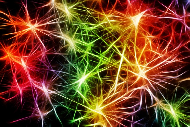 Nervous System Regulation: The Missing Link in Female Longevity
