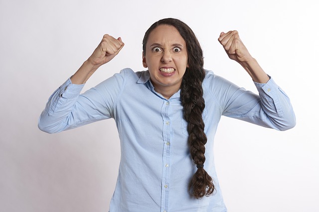 The Impact of Chronic Stress on Ovarian Aging and Epigenetics