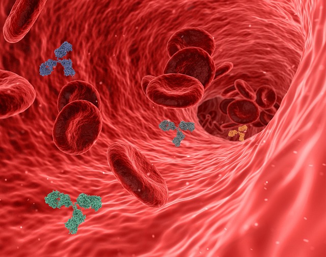 The Impact of Systemic Gut Inflammation on Ovarian Aging