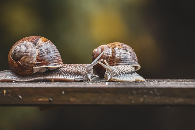 The Role of Mitochondria in Ovarian Reserve and Egg Quality