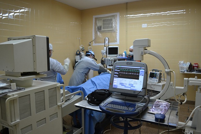 Why Ovarian Aging is the Pacemaker of Systemic Female Aging